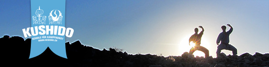 Kushido, Karate Kobudo Taiji Qi Gong